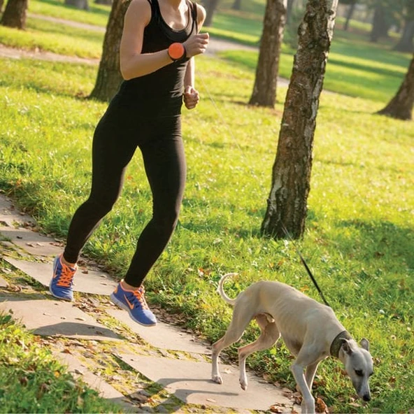 Lishinu Bungee Akıllı Köpek Gezdirme Tasması Pembe Large - 5