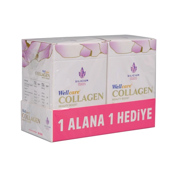 Wellcare Kolajen Cilt 60 Tablet (Kofre)