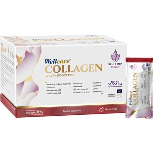 Wellcare Kolajen Nar Aromalı 30 Sase