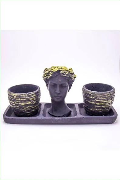 Üçlü Helen Saksı Seti ve Hediye Sukulent ürün görseli