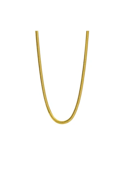 Altın Renk Italyan Yassı Balık Sırtı Zincir Çelik Kolye Ince 60 Cm - 4