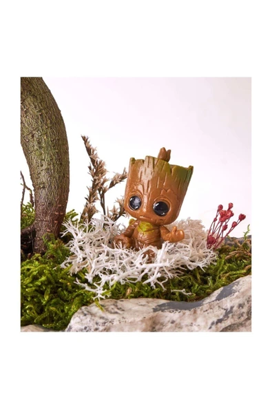 Taş Saksıda Ficus Bonsai Ve Groot - Resim 2