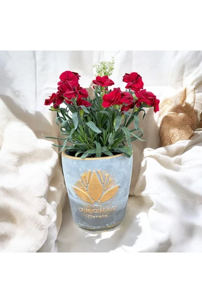 Dekoratif Taş Vazoda Anne Karanfili ürün görseli 1