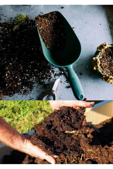 2 litre Bonsai Toprağı %100 Organik ve Katkısız Torf 17 Bitkinin Çözülmesinden Oluşmuş ürün görseli 1