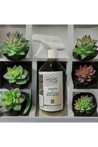Kaktüs ve Sukent Besini 500 ML - Resim 4