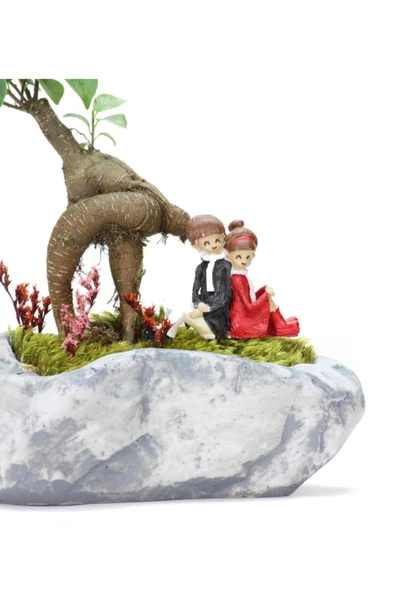 Pisagor Mini Ficus Bonsai Ve Sırt Sırta Sevgililer - Resim 3