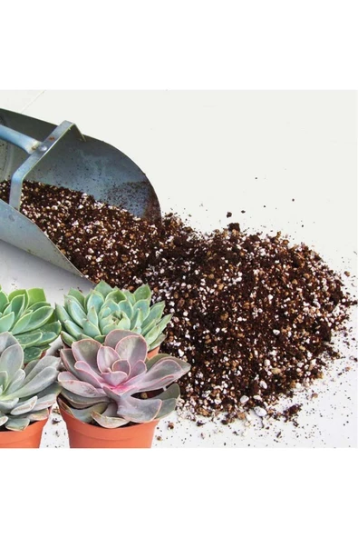 10 litre Süper Organik Kaktüs Toprağı (17 çeşit ağaç yaprağı ve 3 çeşit hayvan gübresi karışımı) - Resim 7