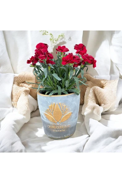 Dekoratif Taş Vazoda Anne Karanfili - Resim 3