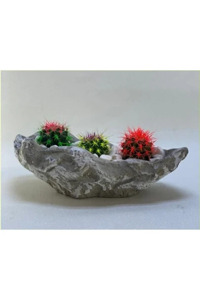 Dekoratif Kayık Saksıda Kaktüs Anajmanı %50 ürün görseli