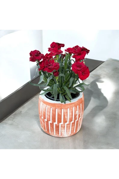 Roma dizayn Taş Vazoda Anne Karanfili - Resim 3