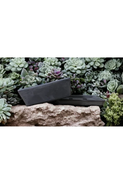 Bonsai Saksısı Tabaklı ve Beton suktepî ürün görseli 1