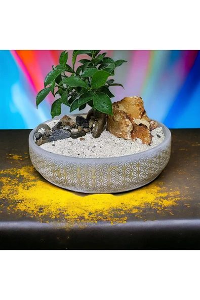 Hediyelik Bonsai Granit Çakıl Aranjmano ürün görseli 1