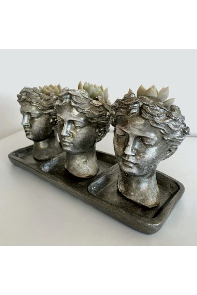 Helen 3'lü Saksı Tabla 3 Adet Sukulent - Resim 2