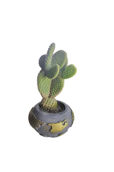 Tavşan kulağı kaktüsü dünya temalı beton saksıda - Resim 2