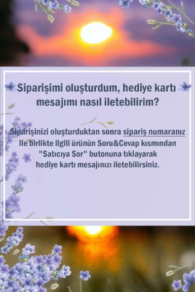 3 Adet Otantik Saksıda Çiçek Aranjmanı - Resim 2