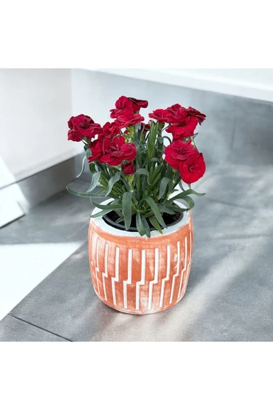 Roma dizayn Taş Vazoda Anne Karanfili - Resim 2