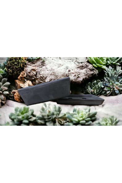 Bonsai Saksısı Tabaklı ve Beton suktepî - Resim 2