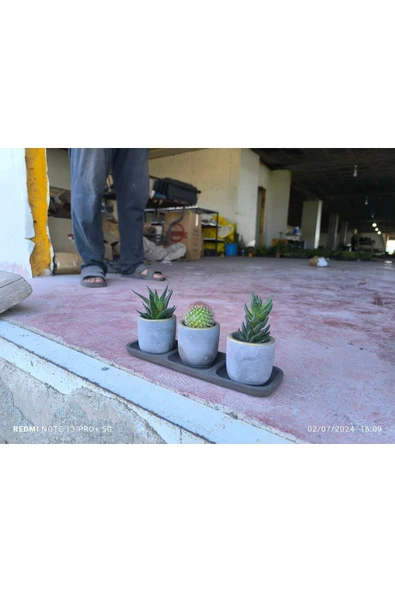 Üçlü taş saksıda kaktüs sukulent seti 01ad - Resim 7