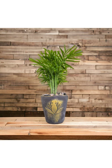 Hediyelik Bonsai Granit Çakıl Aranjmano - Resim 3