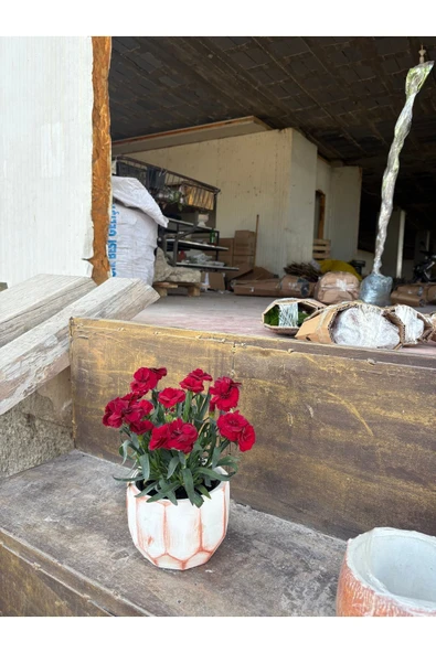 Taş saksıda Kırmızı Karanfil Mis Kokulu - Resim 4