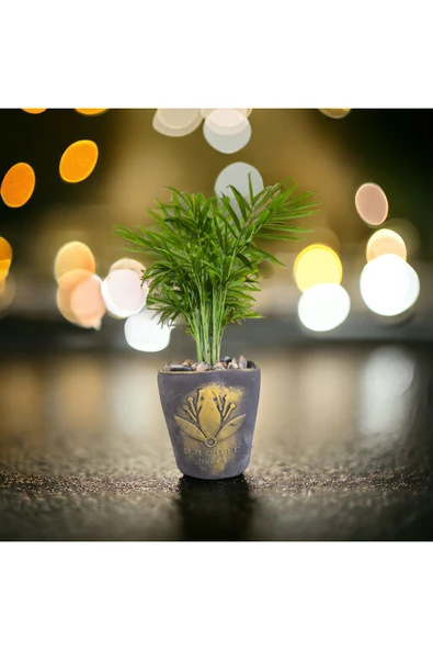 Hediyelik Bonsai Granit Çakıl Aranjmano ürün görseli