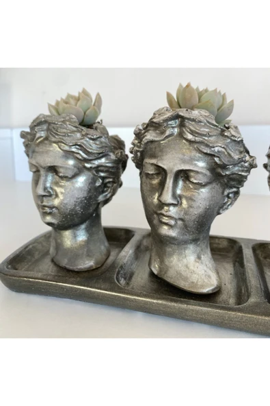 Helen 3'lü Saksı Tabla 3 Adet Sukulent - Resim 4