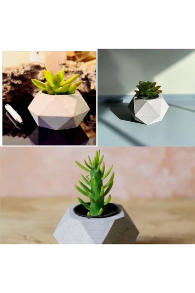 Geometrik Saksılarda 3 Adet Kaktüs - Resim 2