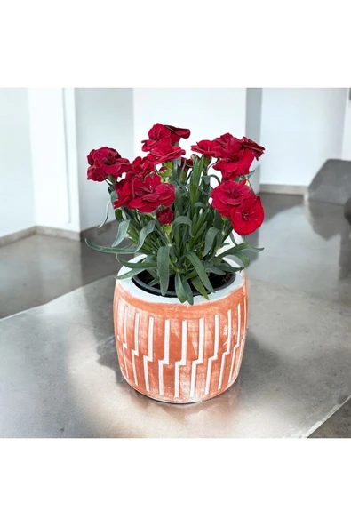 Roma dizayn Taş Vazoda Anne Karanfili ürün görseli