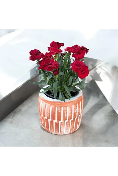 Roma dizayn Taş Vazoda Anne Karanfili - Resim 4