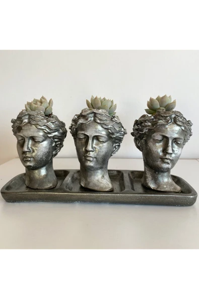 Helen 3'lü Saksı Tabla 3 Adet Sukulent ürün görseli 1