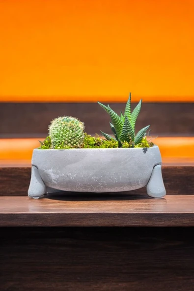 Fil Ayağı Dekoratif Taş Saksıda Mini Aranjman - Resim 3