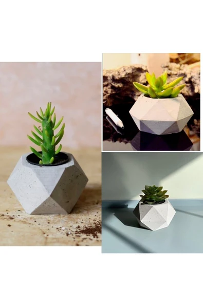 Geometrik Saksılarda 3 Adet Kaktüs - Resim 2