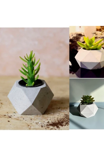 Geometrik Saksılarda 3 Adet Kaktüs ürün görseli