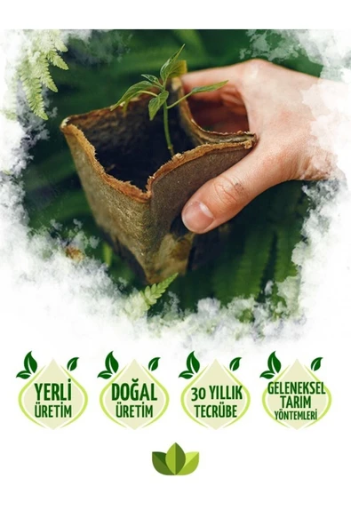 Kazayağı Çiçeği Fidesi 30 Adet 5cm-15cm - Resim 3