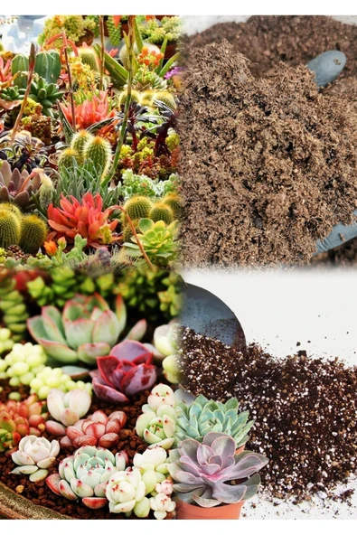 20 litre Süper Organik Kaktüs Toprağı (17 çeşit ağaç yaprağı ve 3 çeşit hayvan gübresi karışımı) - Resim 2