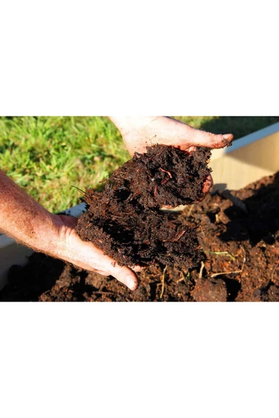 10 litre Bonsai Toprağı %100 Organik ve Katkısız Torf 17 Bitkinin Çözülmesinden Oluşmuş - Resim 2