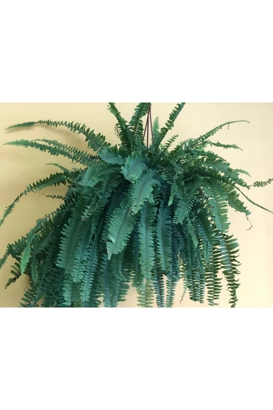 Aşk Merdiveni ürün görseli 1