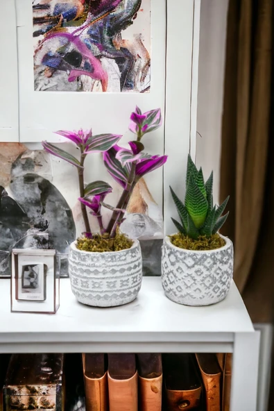 2 adet dekoratif saksıda çiçek aranjmanı 02as - Resim 2