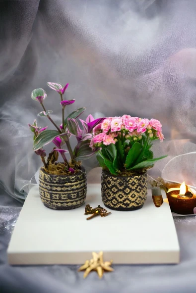 2 adet dekoratif saksıda Çiçek aranjmanı - Resim 3