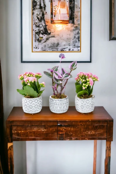 3 Adet Otantik Saksıda Çiçek Aranjman Set - Resim 3