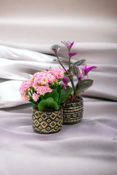 2 adet dekoratif saksıda Çiçek aranjmanı ürün görseli