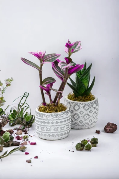 2 adet dekoratif saksıda çiçek aranjmanı 02as - Resim 3