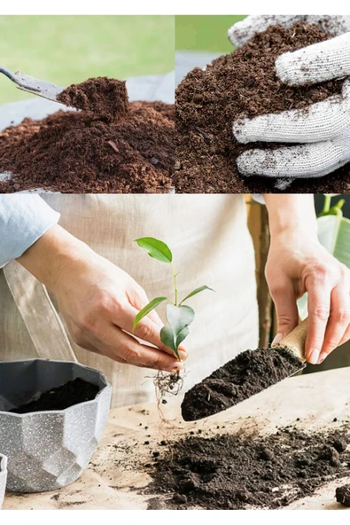 50 litre salon bitkisi toprağı süper organik 17 çeşit ağacın yaprağı ve 3 çeşit - Resim 2