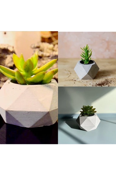 Geometrik Saksılarda 3 Adet Kaktüs ürün görseli