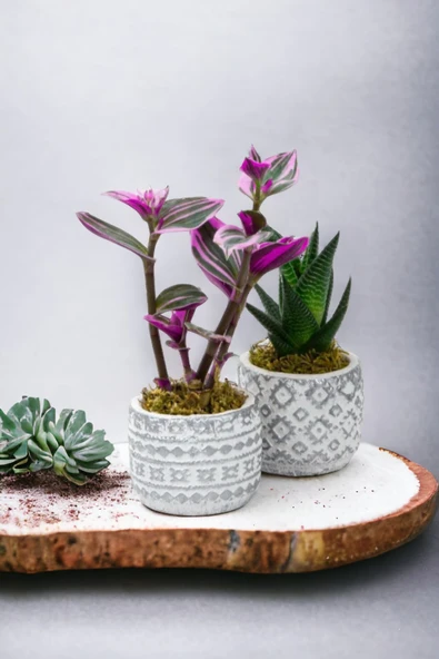 2 adet dekoratif saksıda çiçek aranjmanı 02as ürün görseli 1