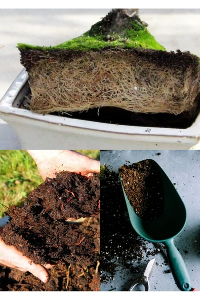 10 litre Bonsai Toprağı %100 Organik ve Katkısız Torf 17 Bitkinin Çözülmesinden Oluşmuş ürün görseli