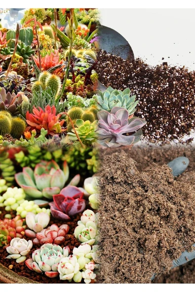 20 litre Süper Organik Kaktüs Toprağı (17 çeşit ağaç yaprağı ve 3 çeşit hayvan gübresi karışımı) ürün görseli 1