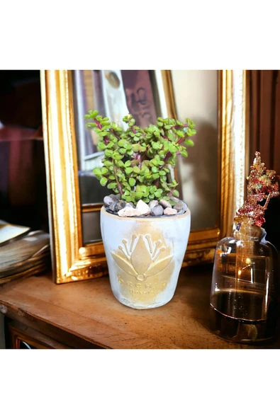 Dekoratif Gold Taş Saksıda Bonsai Para Ağacı