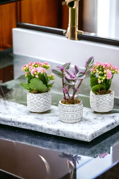 3 Adet Otantik Saksıda Çiçek Aranjman Set ürün görseli 1