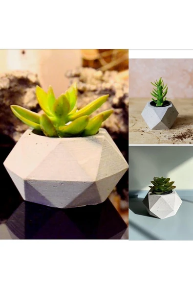 Geometrik Saksılarda 3 Adet Kaktüs - Resim 2